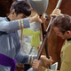 Spock and Kirk engage in the Vulcan ritual combat 'Kal-if-fee' in the iconic episode "Amok Time".